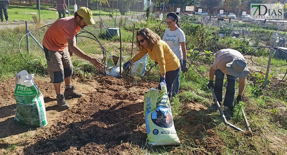 Un experto imparte un taller práctico en los huertos urbanos de Suerte de Saavedra en Badajoz