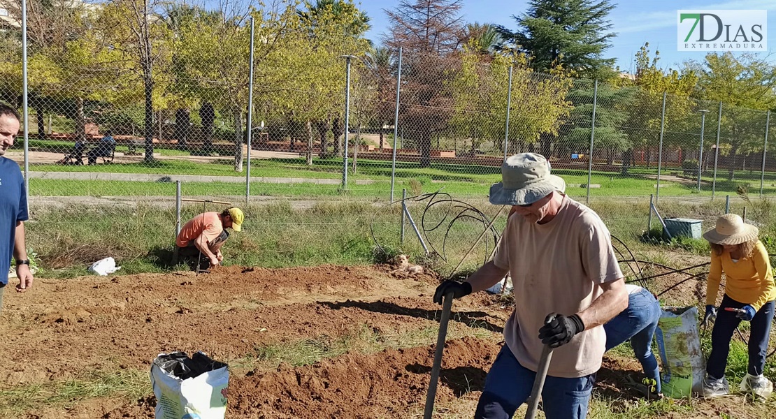 Un experto imparte un taller práctico en los huertos urbanos de Suerte de Saavedra en Badajoz