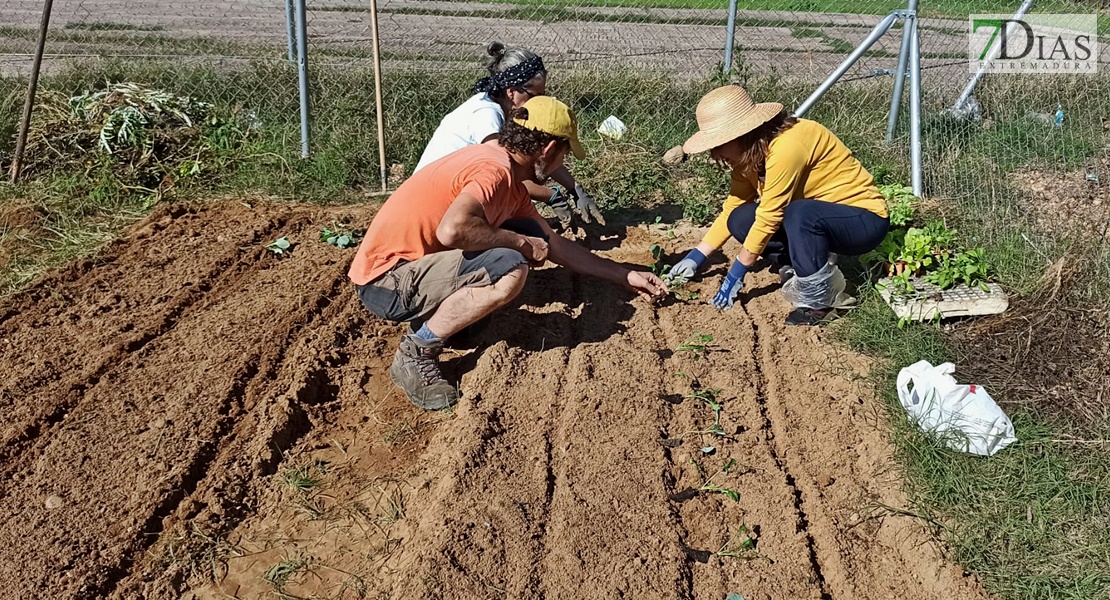 Un experto imparte un taller práctico en los huertos urbanos de Suerte de Saavedra en Badajoz