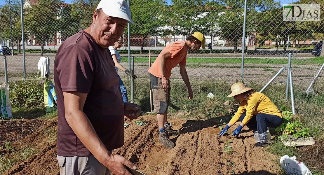 Un experto imparte un taller práctico en los huertos urbanos de Suerte de Saavedra en Badajoz