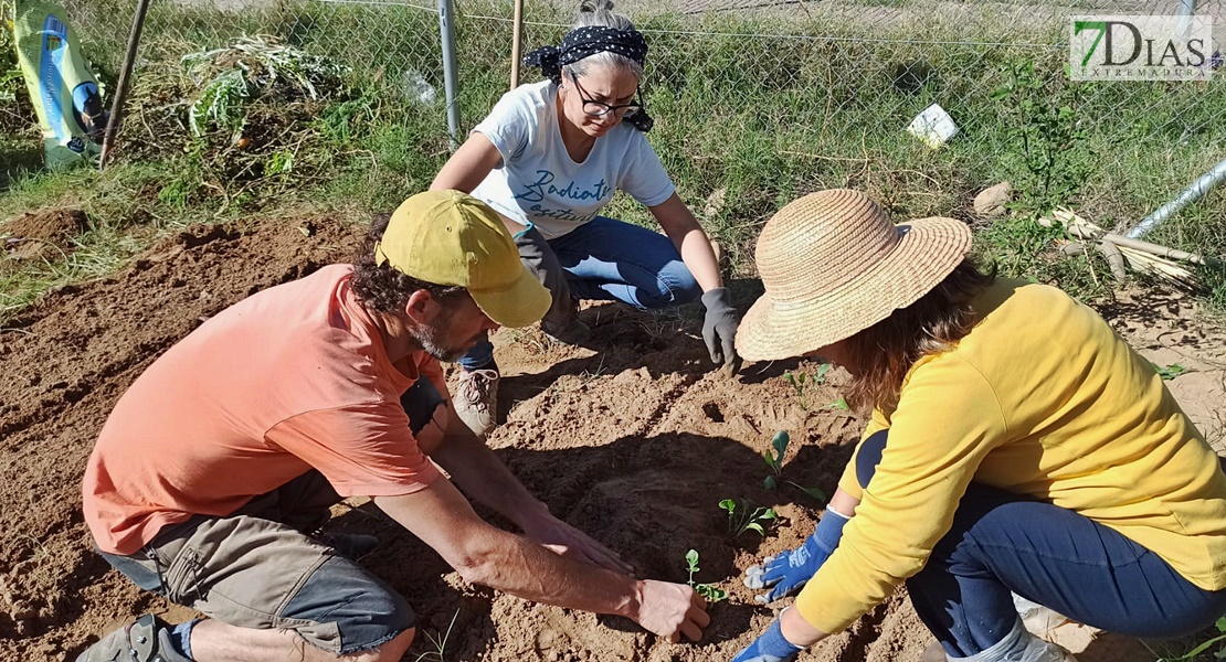 Un experto imparte un taller práctico en los huertos urbanos de Suerte de Saavedra en Badajoz