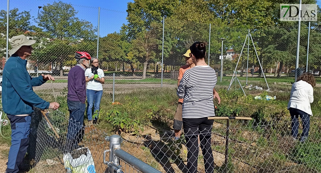 Un experto imparte un taller práctico en los huertos urbanos de Suerte de Saavedra en Badajoz