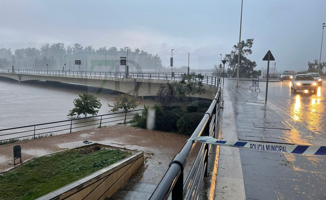 El agua a punto de alcanzar los pubs del río y el puente de la Autonomía en Badajoz