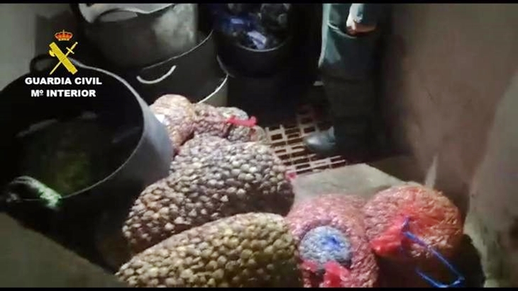 Aumentan las inspecciones para garantizar la seguridad agroalimentaria estas navidades