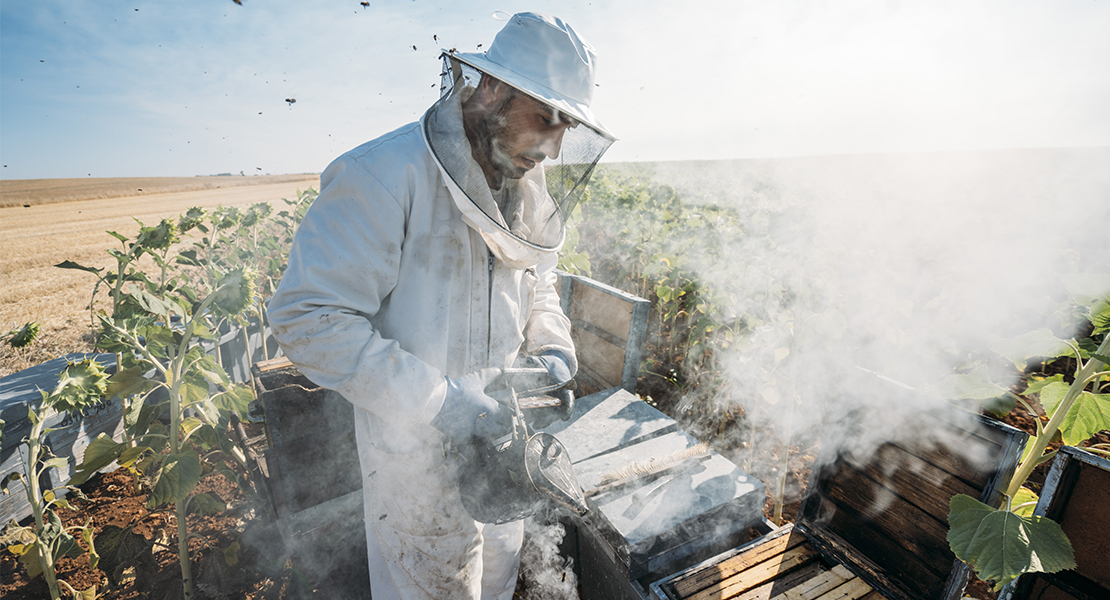 Asociación Cacereña de Apicultores: “El sector apícola extremeño agoniza”