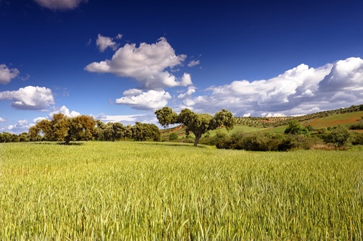 105 millones de euros para el pago básico y pago verde