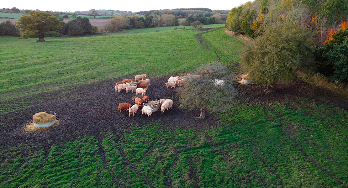 COAG: "Ha sido un año catastrófico para la agricultura y la ganadería extremeña"