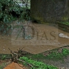 El agua llega a varias casas y está a punto de saltar la EX-110