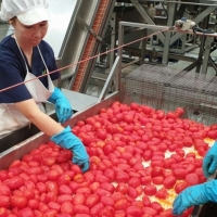 PAC: La Junta asegura que no ha habido retrasos en la gestión de los expedientes