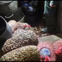 Aumentan las inspecciones para garantizar la seguridad agroalimentaria estas navidades