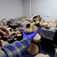 Intervenidas 350 piezas arqueológicas y casi 200 restos óseos