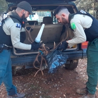 Así controlan los Agentes del Medio Natural la caza furtiva en Extremadura