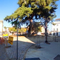 Comienzan a abrir calles al tráfico en el entorno de Puerta Palmas tras las obras