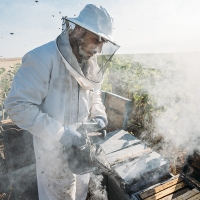 Asociación Cacereña de Apicultores: “El sector apícola extremeño agoniza”
