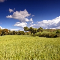 105 millones de euros para el pago básico y pago verde