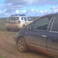 Pillan a seis personas robando 2.409 kilos de aceitunas en una finca extremeña