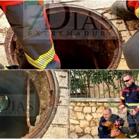 Bomberos de Badajoz salvan a un perro atrapado en una tubería