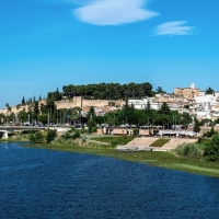 Activan el proyecto para eliminar el nenúfar del río Guadiana