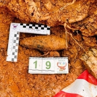 Desactivan una granada de la Guerra Civil hallada en una finca extremeña