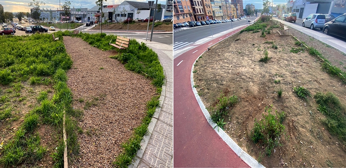 PSOE-Badajoz pregunta por los jardines de Pedro de Alvarado PSOE-Badajoz pregunta por los jardines de Pedro de Alvarado