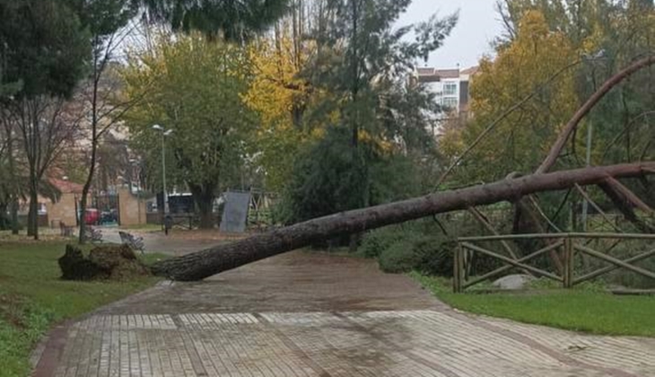 Cierran el parque del Príncipe en Cáceres