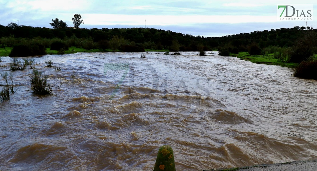 El agua llega a varias casas y está a punto de saltar la EX-110