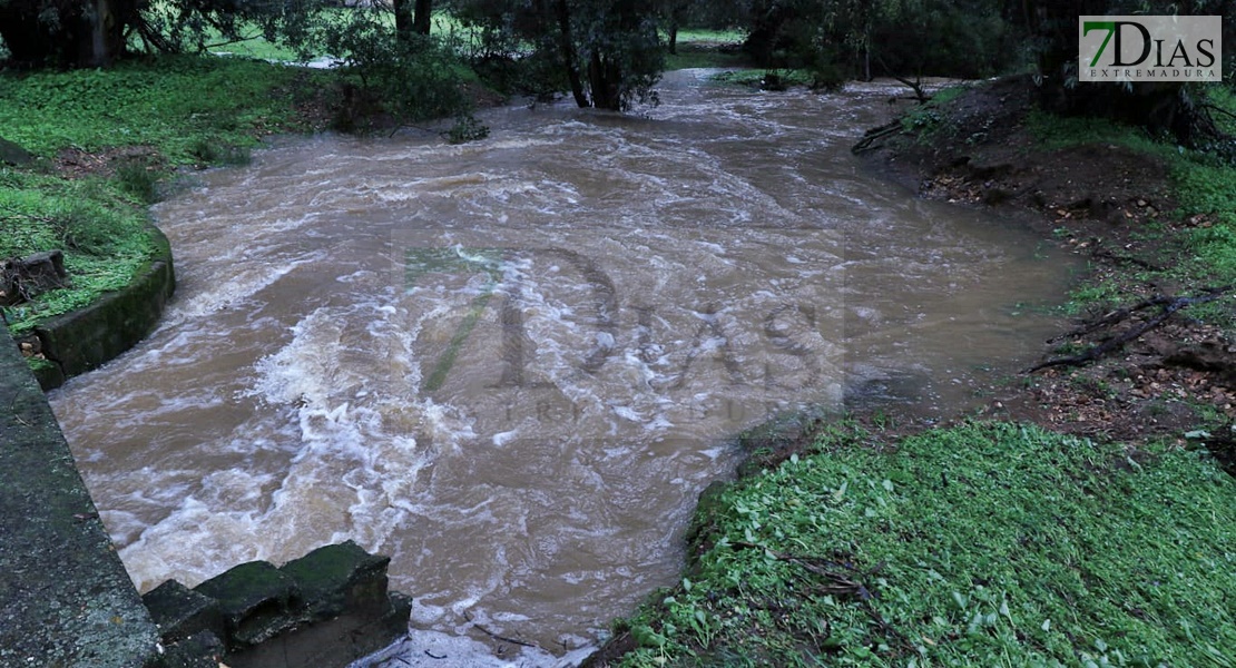 El agua llega a varias casas y está a punto de saltar la EX-110