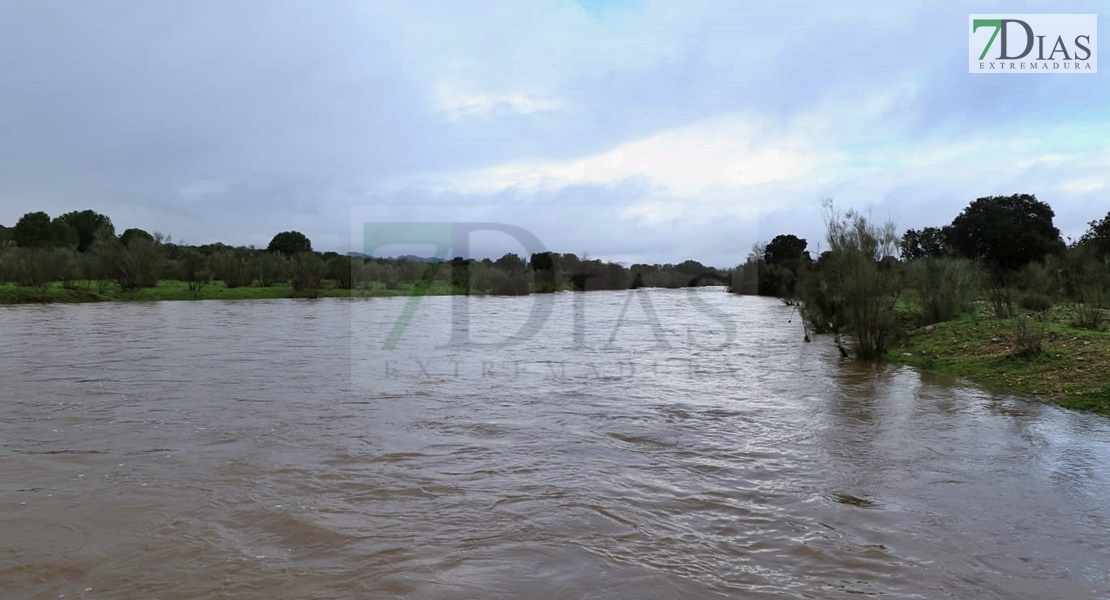 El agua llega a varias casas y está a punto de saltar la EX-110