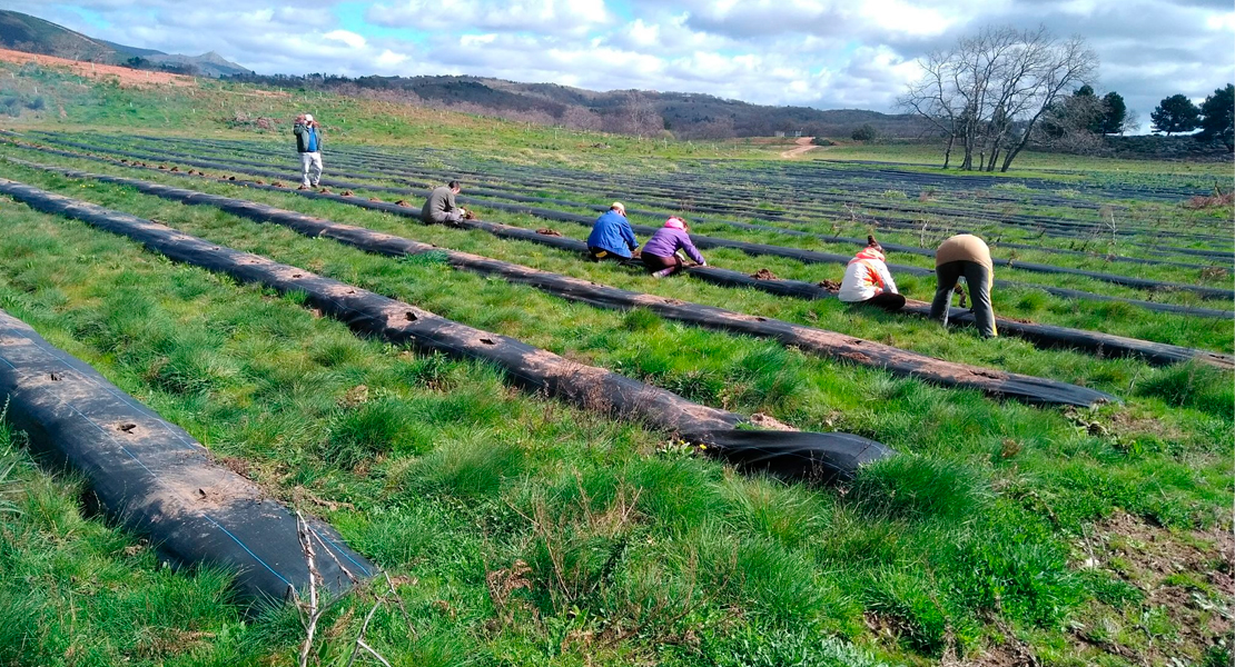 La UEx participa en un proyecto europeo creando el primer paisaje inteligente frente a incendios