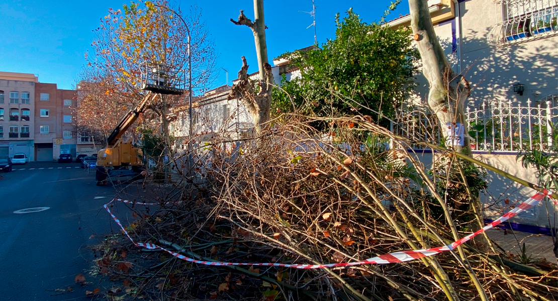 Vecinos de Badajoz tendrán que aguantar varios días montones de ramas en sus puertas