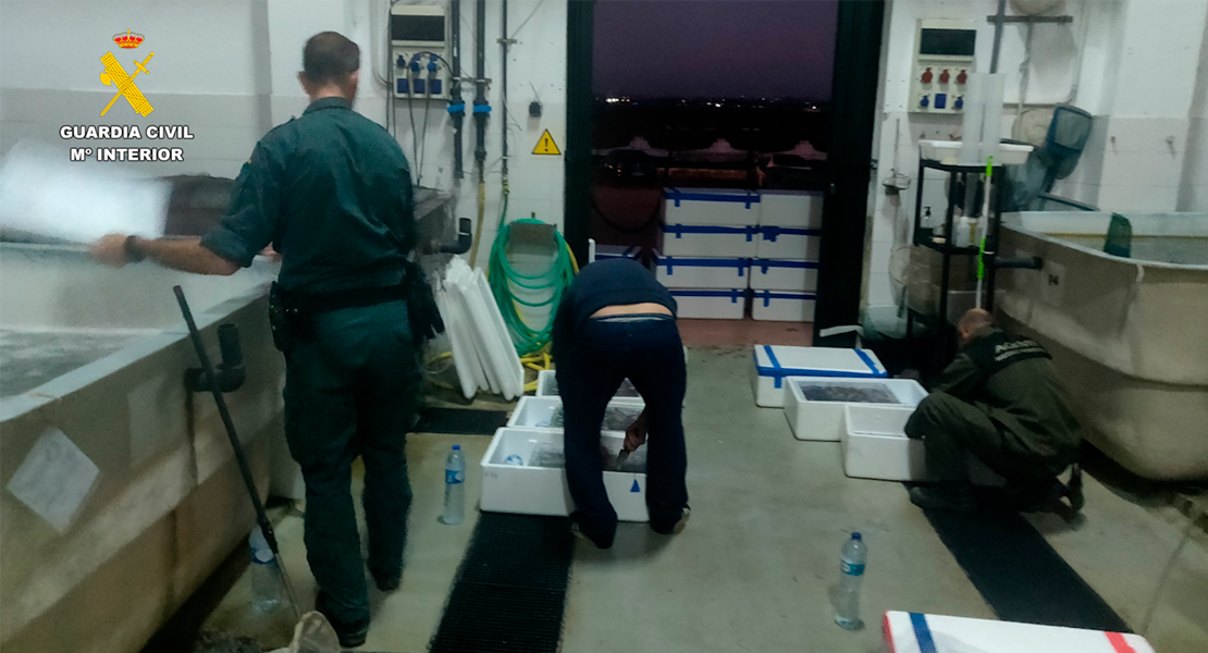 Sospechan y los pillan: iban a conseguir 250.000 € con lo que transportaban