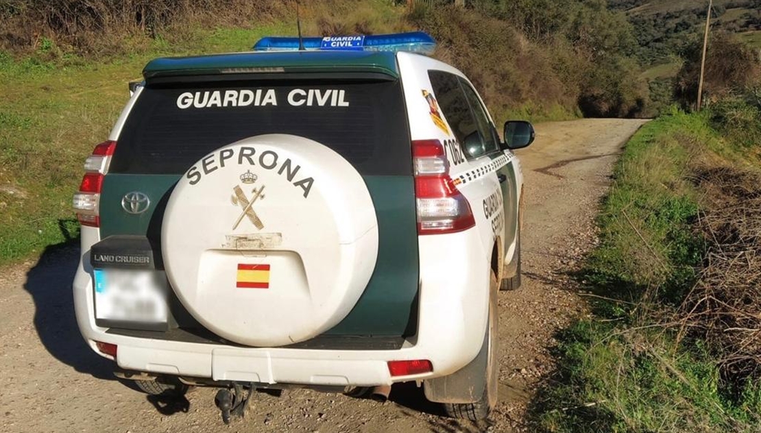 Detienen a un hombre en una operación contra la caza furtiva en Extremadura