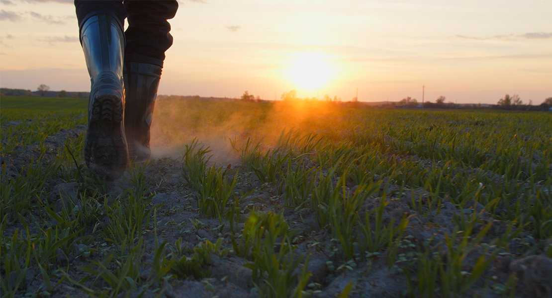 La Unión denuncia que Agricultura discrimina de nuevo a los extremeños