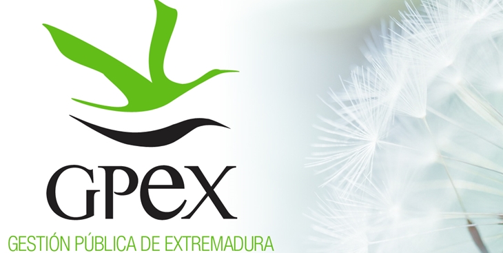 GPEX convoca dos nuevas ofertas de empleo en Extremadura