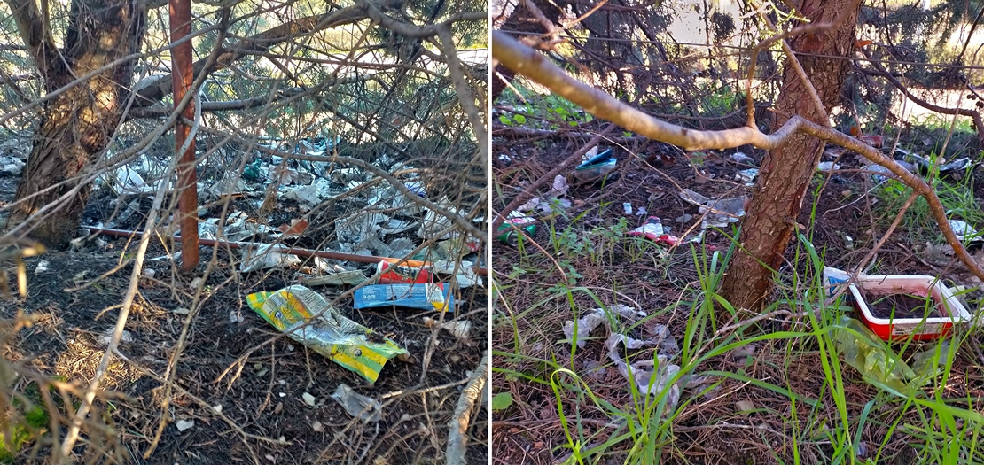 Denuncian acumulación de basura en La Mejostilla (Cáceres)