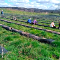 La UEx participa en un proyecto europeo creando el primer paisaje inteligente frente a incendios