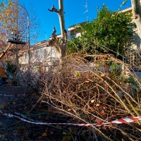Vecinos de Badajoz tendrán que aguantar varios días montones de ramas en sus puertas
