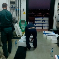 Sospechan y los pillan: iban a conseguir 250.000 € con lo que transportaban