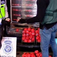 22 toneladas de hachís camufladas en tomates falsos