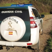 Detienen a un hombre en una operación contra la caza furtiva en Extremadura