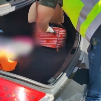 Desarticulan una organización criminal dedicada al tráfico de anabolizantes y blanqueo de capitales