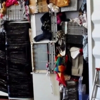 Desarticulada organización criminal dedicada al tráfico internacional de residuos peligrosos