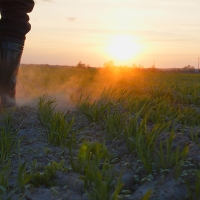 La Unión denuncia que Agricultura discrimina de nuevo a los extremeños