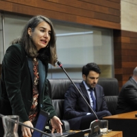 Piden a Vara que apueste por la creación de una empresa pública de energía para “abaratar la luz”