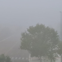 PRECAUCIÓN: continúa la niebla en parte de Extremadura