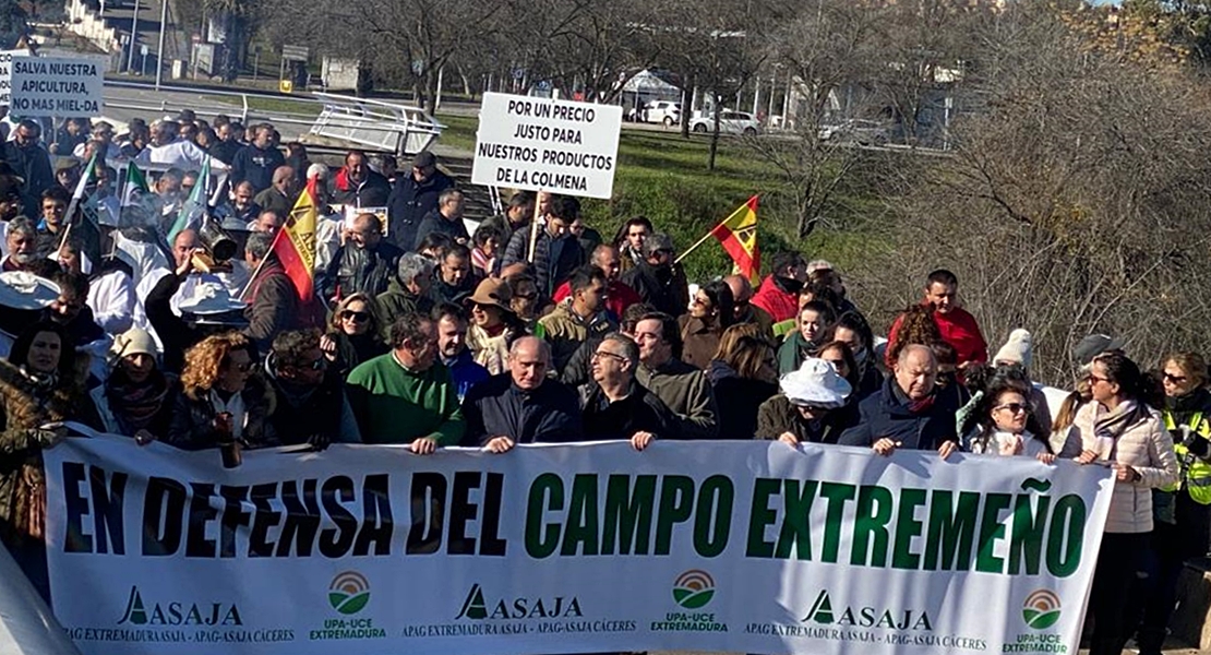 Más de 1000 apicultores extremeños salen a la calle para reclamar ayudas