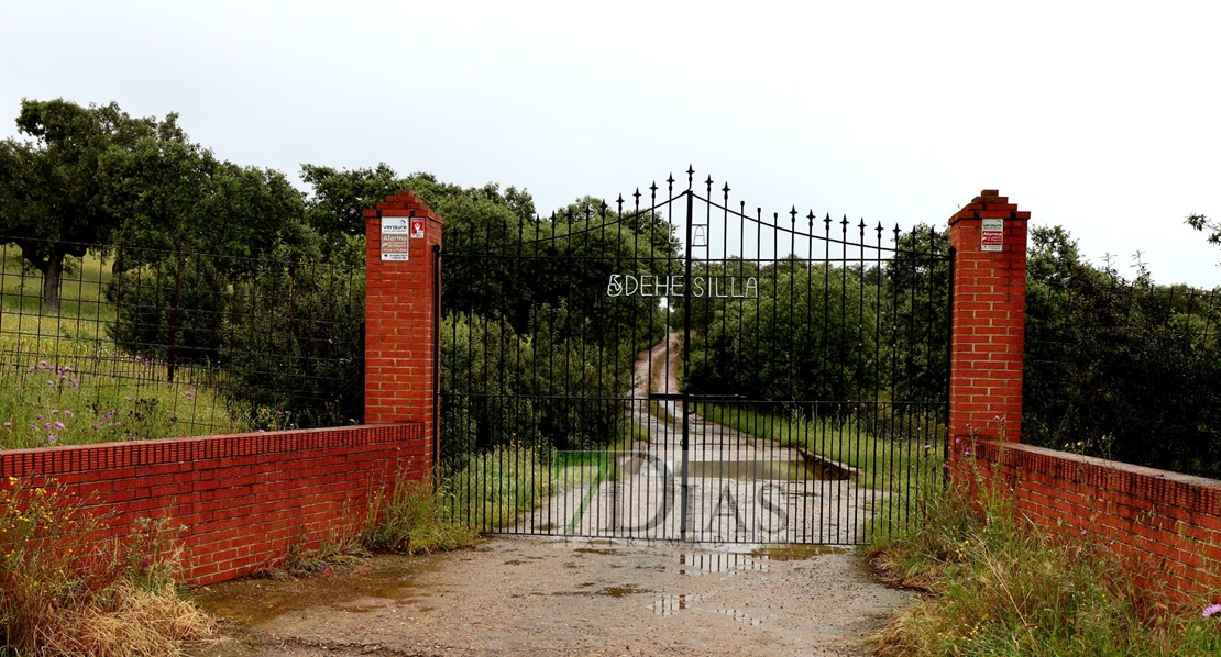 29 años de prisión para los tres acusados de acabar con la vida de un ganadero en Feria (BA)