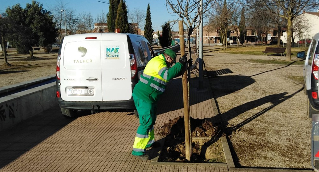 Reponen cientos de árboles en Cáceres
