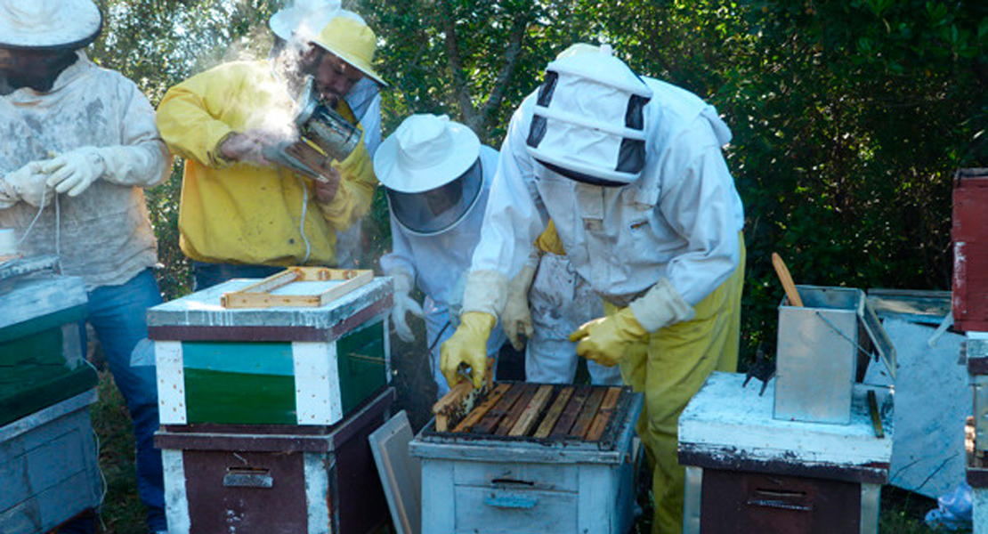 Agricultura abona 7M€ a 850 profesionales de la apicultura extremeña