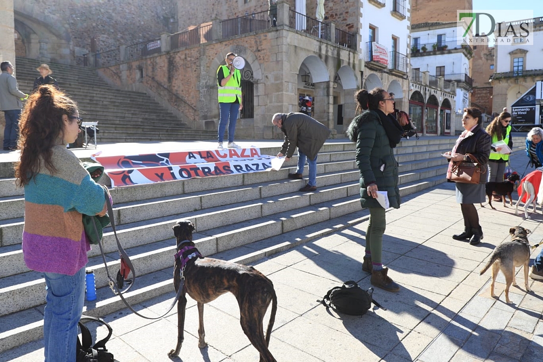 Manifestación contra la caza en Cáceres: &quot;Ni galgos ni podencos son vuestros instrumentos&quot;